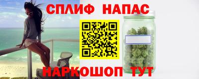 гашик Нарткала